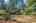Blurred preview of media: 1-35