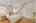 Blurred preview of media: 66 Baltimore Street Lynn Massachusetts Job 39210 0012