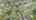 Blurred preview of media: DJI_20261001124728_0810_D