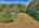 Blurred preview of media: 9zzj