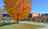Blurred preview of media: IMG_8318