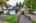 Blurred preview of media: IMG_3520 copy 2