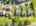 Blurred preview of media: 1-926-0488