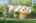 Blurred preview of media: 277 Main Street Bolton Massachusetts Job 38618 0026