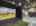 Blurred preview of media: IMG_2007