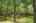 Blurred preview of media: bristow_113