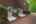 Blurred preview of media: edit 6