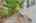 Blurred preview of media: 29
