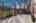 Blurred preview of media: 31 Howell Mill Plantation_Low Res-34