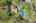 Blurred preview of media: 99 Beaver Road Reading Massachusetts Job 39079 0092