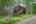 Blurred preview of media: PAX_1907