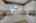 Blurred preview of media: 260110-34
