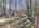 Blurred preview of media: DJI_20260418123637_0561_D_2_D_3_D_easyHDR