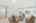 Blurred preview of media: 2bobwhite_002