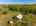 Blurred preview of media: 817 Brill Road Aerial LRCF-29