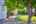 Blurred preview of media: 1030 S Delaware St-106