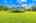 Blurred preview of media: 1-726-0491