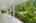 Blurred preview of media: 2-726-1223
