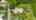 Blurred preview of media: 13170 SE Flamingo Dr-10