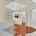 Blurred preview of media: FPP00201