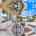 Blurred preview of media: 2-926-7787