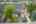 Blurred preview of media: 48 Atlantis Dr_MLS (035 of 041)