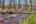 Blurred preview of media: IMG_9790_1_2_easyHDR