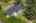 Blurred preview of media: Aerial 04