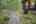 Blurred preview of media: PAX_1913