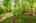 Blurred preview of media: DSC00462