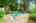 Blurred preview of media: 89 Lloyminn Ave, Ancaster _ Nathan ferro79