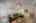 Blurred preview of media: Image-29