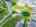 Blurred preview of media: DJI_0017