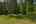 Blurred preview of media: DSC_2334