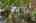 Blurred preview of media: 1-3