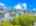 Blurred preview of media: 2-826-0100