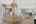 Blurred preview of media: 43 Cresta Verde-35