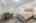 Blurred preview of media: B-23
