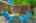 Blurred preview of media: 34