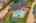 Blurred preview of media: Image-73