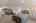 Blurred preview of media: 67-print-P2209292