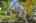Blurred preview of media: 1-2