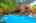 Blurred preview of media: 05