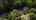 Blurred preview of media: Unknown media