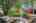 Blurred preview of media: 1-37