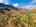 Blurred preview of media: DJI_0006-HDR-Edit