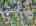 Blurred preview of media: DJI_20250908130602_0182_D_3_D_4_D_easyHDR