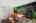 Blurred preview of media: 2-726-0759