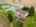 Blurred preview of media: 77242 London Rd-55
