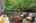 Blurred preview of media: 26 Staged